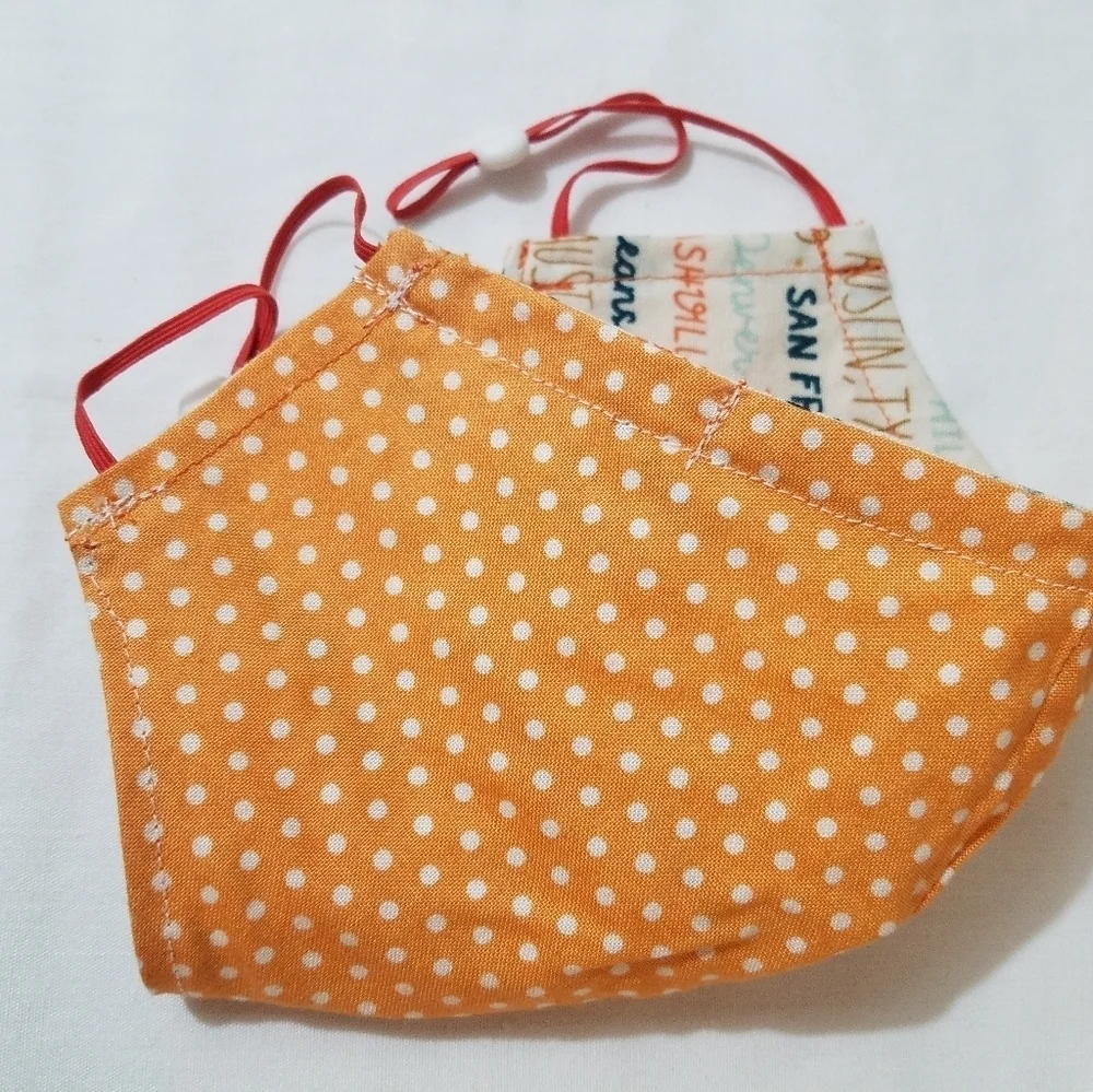 Hand Crafted U.S.A. Cities Reversible Face Mask with Nose Wire